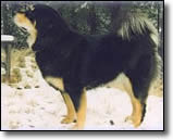 Nakita of Kesang Camp