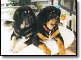 Two friends